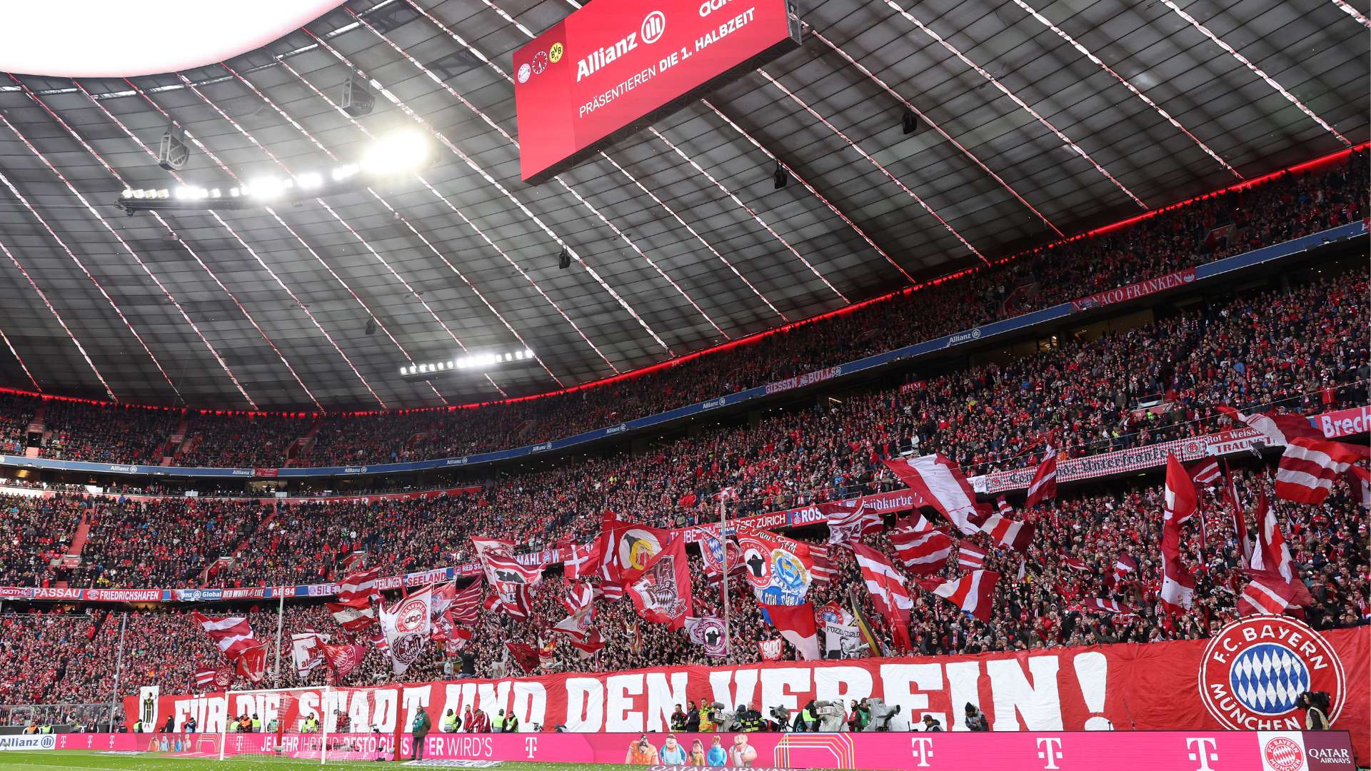 的坚定意志 的坚定意志